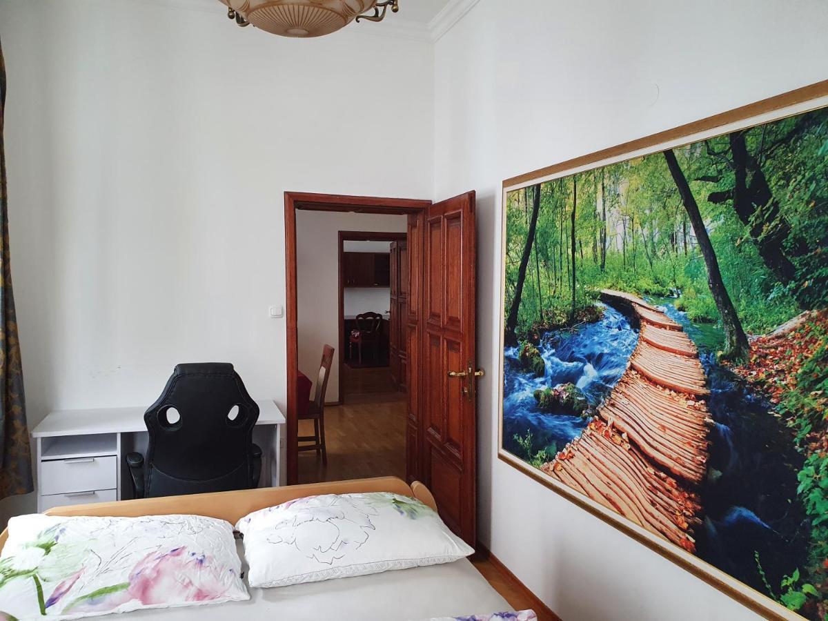 Apartments Fazarinc S Parkiriscem Целие Екстериор снимка