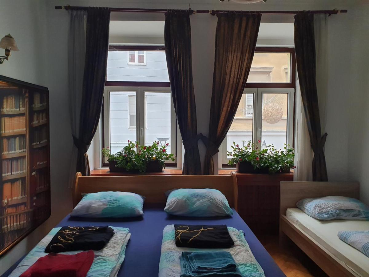Apartments Fazarinc S Parkiriscem Целие Екстериор снимка