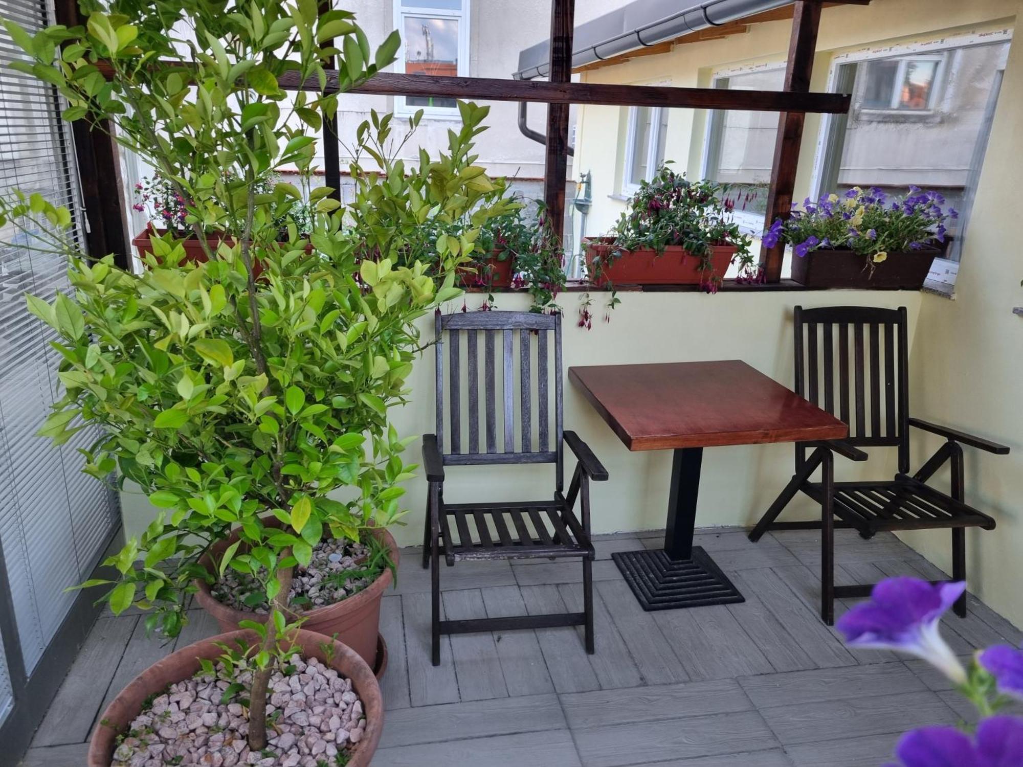 Apartments Fazarinc S Parkiriscem Целие Екстериор снимка