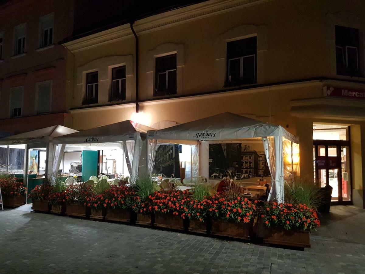 Apartments Fazarinc S Parkiriscem Целие Екстериор снимка