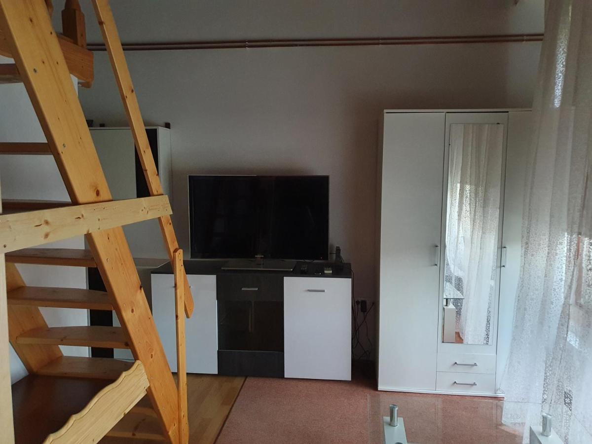 Apartments Fazarinc S Parkiriscem Целие Екстериор снимка